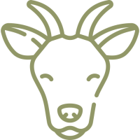 chevre