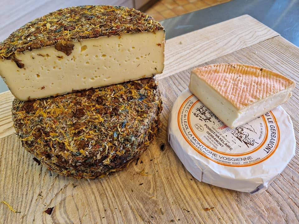 dégustation fromage chèvre